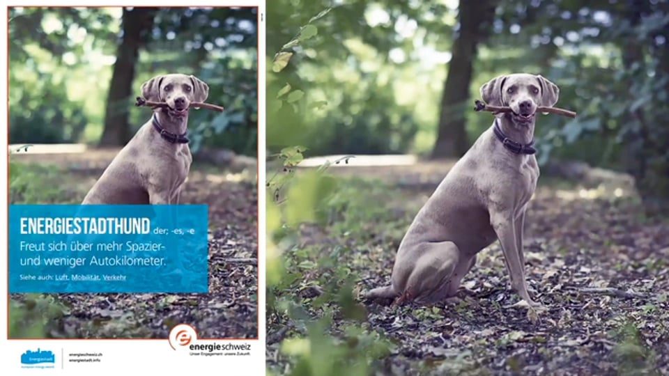 SUISSE ENERGIE ADVERTISING CAMPAIGN 2015-2016